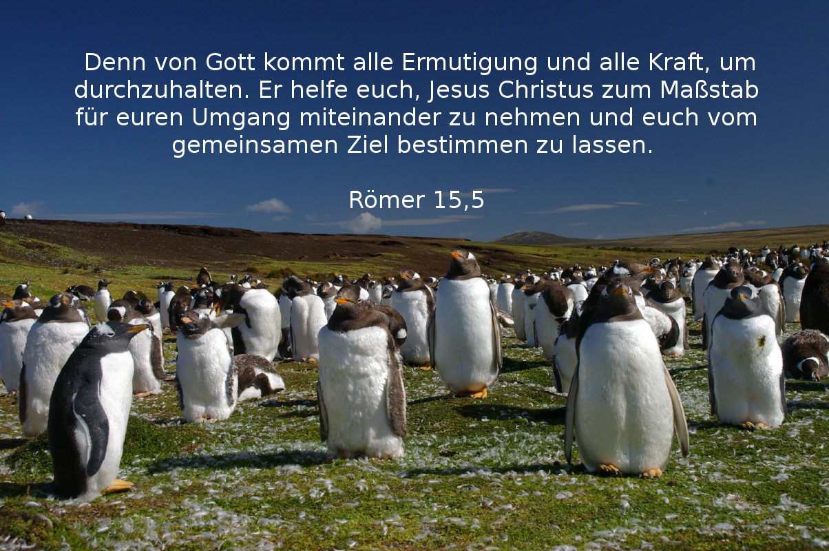 Ermutigung - Römer 15,5